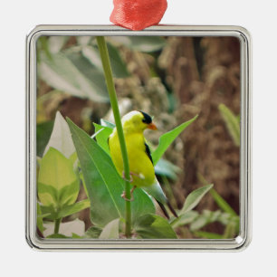 Goldfinch Ornament Aus Metall