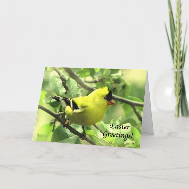 Goldfinch-Osterkarte Feiertagskarte (Vorderseite)