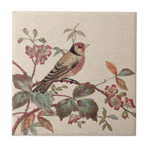 Goldfinch Polychrome Staffordshire Repro Antike Fliese
