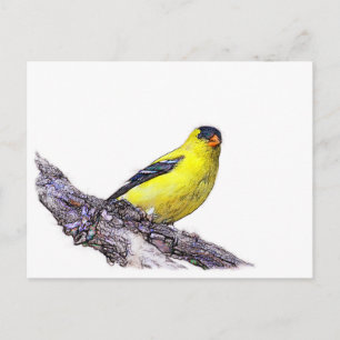 Goldfinch Postkarte