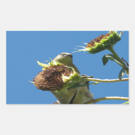 Goldfinch Rechteckiger Aufkleber