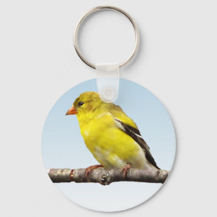 Goldfinch Schlüsselanhänger