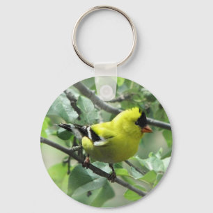 Goldfinch-Schlüsselanhänger Schlüsselanhänger