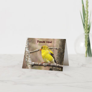 Goldfinch Thank You Dankeskarte