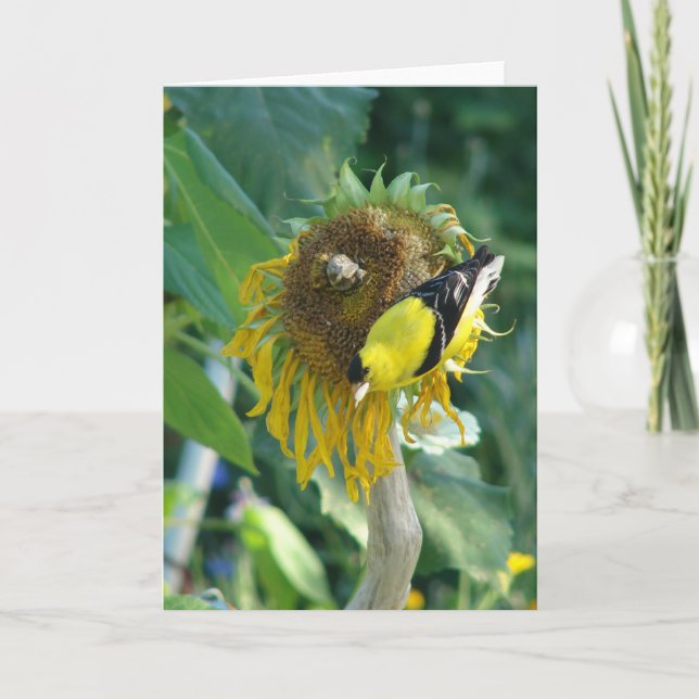 Goldfinch und eine Sonnenblume Karte (Vorderseite)
