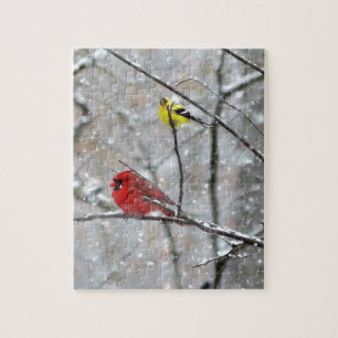 Goldfinch und Kardinal