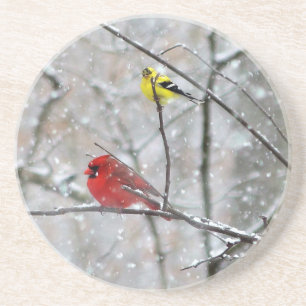 Goldfinch und Kardinal Getränkeuntersetzer