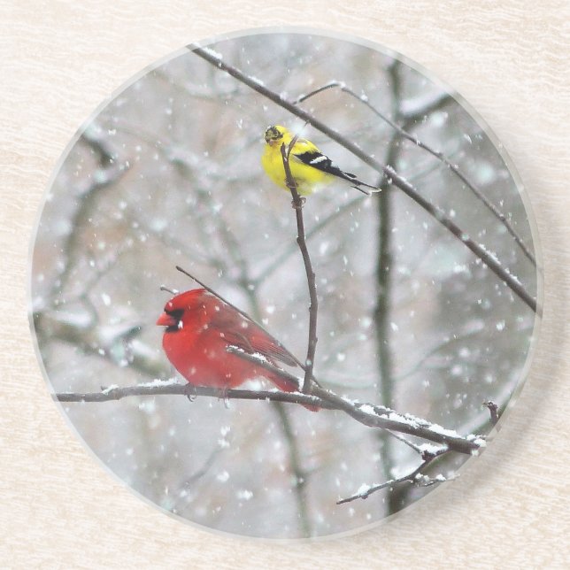Goldfinch und Kardinal Getränkeuntersetzer (Vorne)