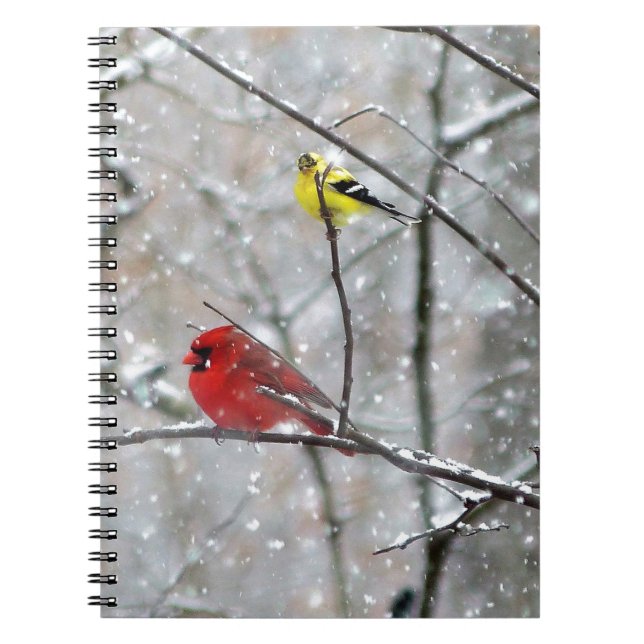 Goldfinch und Kardinal Notizblock (Vorderseite)