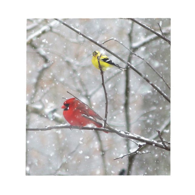 Goldfinch und Kardinal Notizblock (Vorderseite)