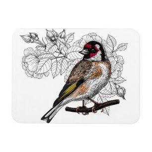 Goldfinch und Rose Magnet