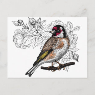 Goldfinch und Rose Postkarte