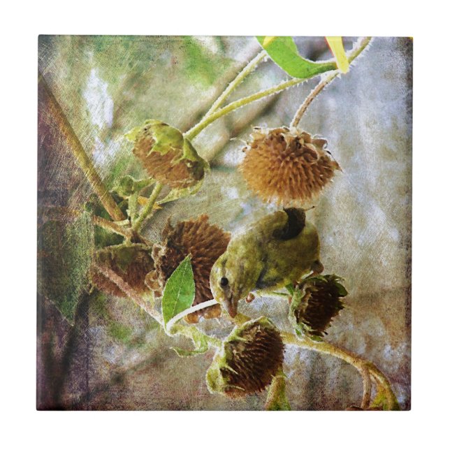 Goldfinch und Sonnenblumen Fliese (Vorderseite)