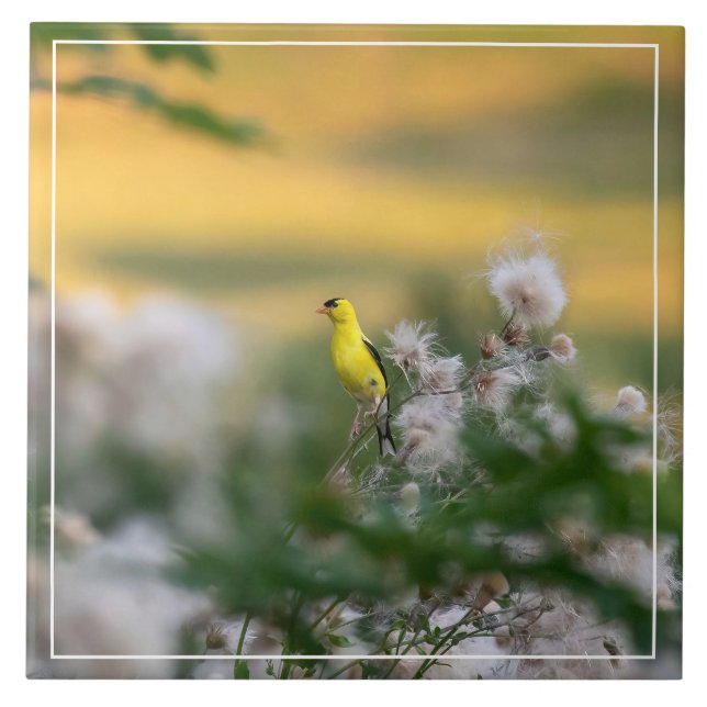 Goldfinch- und Thistle-Herbst Fliese (Vorderseite)
