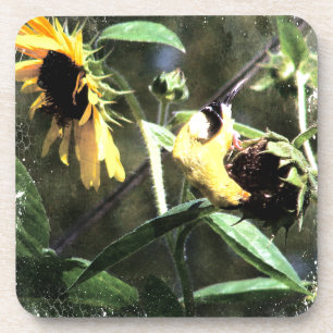 Goldfinch Untersetzer