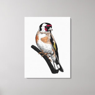 Goldfinch zeichnend leinwanddruck