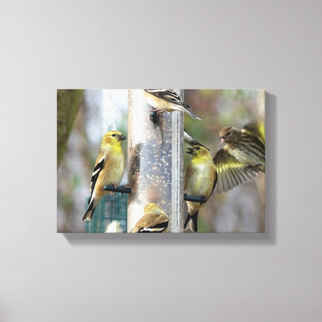 Goldfinches am Feeder Leinwanddruck (Vorderseite)