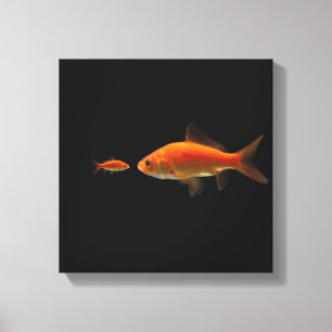 Goldfisch 3 leinwanddruck