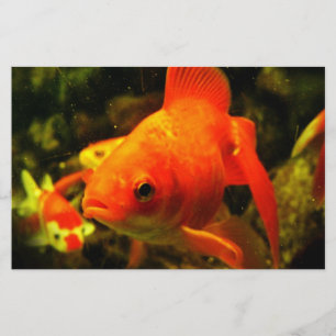 Goldfisch Briefpapier