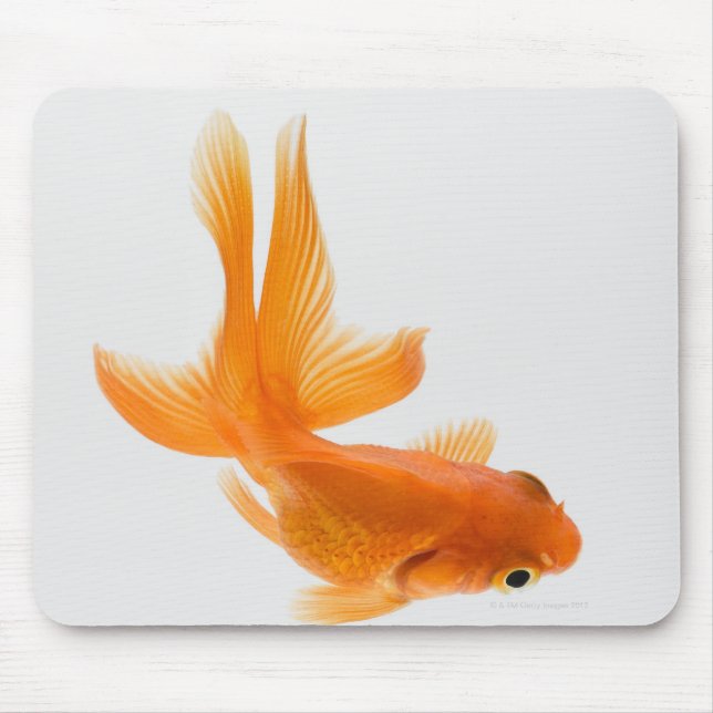 Goldfisch (Carassius auratus) 2 Mousepad (Vorne)