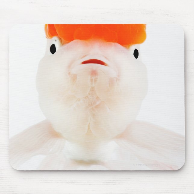 Goldfisch (Carassius auratus) Mousepad (Vorne)