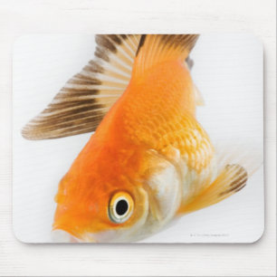Goldfisch (Carassius auratus) Mousepad