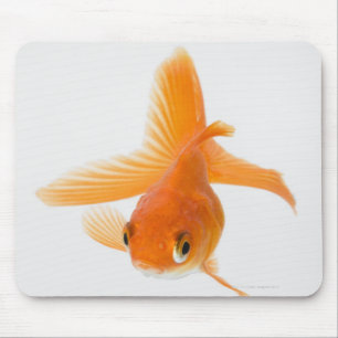 Goldfisch (Carassius auratus) Mousepad