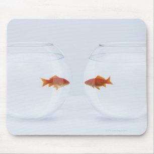 Goldfisch in den unterschiedlichen fishbowls, die mousepad