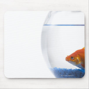 Goldfisch in der Schüssel auf weißem Hintergrund Mousepad
