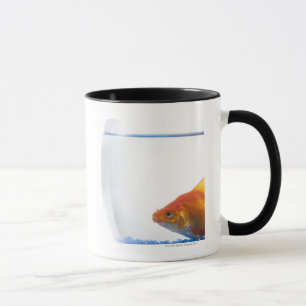 Goldfisch in der Schüssel auf weißem Hintergrund Tasse