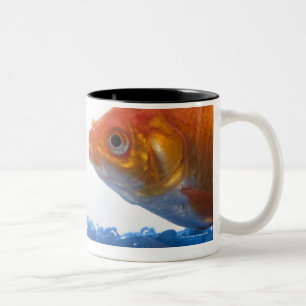 Goldfisch in der Schüssel auf weißem Hintergrund Zweifarbige Tasse