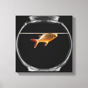 Goldfisch in Schüssel 2 Leinwanddruck