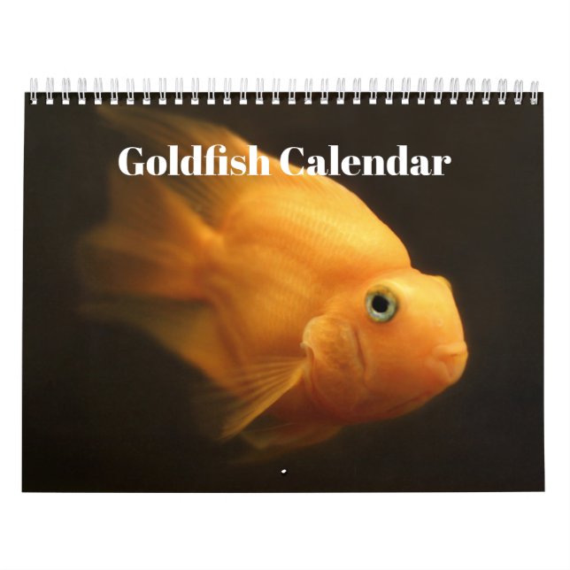 Goldfisch-Kalender 2025 Kalender (Titelbild)