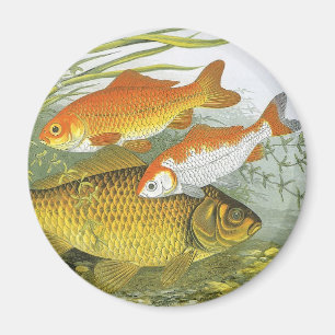 Goldfisch Koi Fisch, Vintage Marine Wasserleben Me Magnet