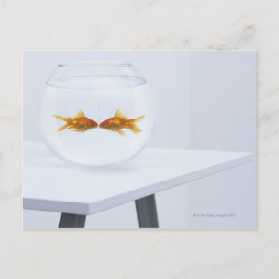 Goldfisch küsst in Fischschüssel Postkarte