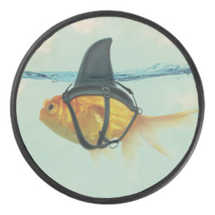 Goldfisch mit einer Haiflossen Eishockey Puck