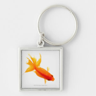 Goldfisch, obenliegende Ansicht Schlüsselanhänger