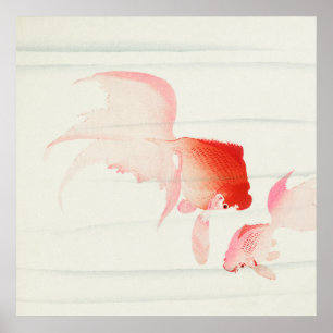 Goldfisch von Ohara Koson (1900-1936) Poster