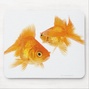 Goldfisch zwei, der sich kreuzt mousepad