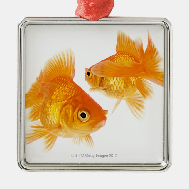 Goldfisch zwei, der sich kreuzt ornament aus metall (Vorne)