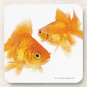 Goldfisch zwei, der sich kreuzt untersetzer