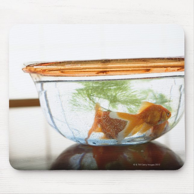 Goldfischschale Mousepad (Vorne)