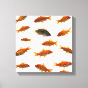 Goldfish 4 leinwanddruck