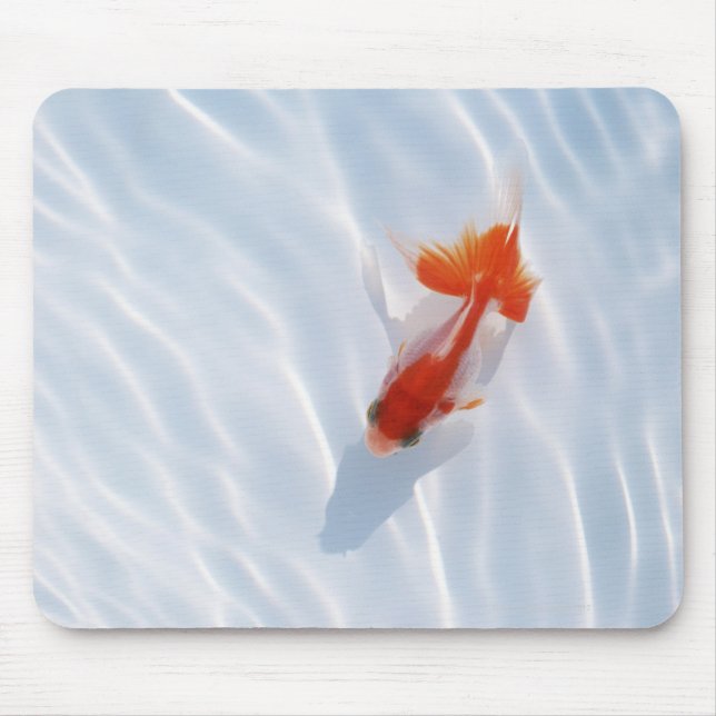 Goldfish 5 mousepad (Vorne)