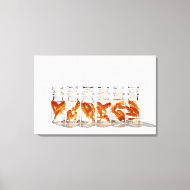 Goldfish 7 leinwanddruck (Vorderseite)