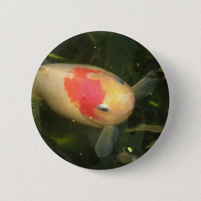 Goldfish Button (Vorderseite)