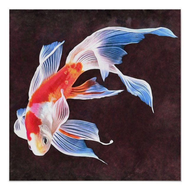 Goldfish: Eine realistische Kunst Poster (Vorderseite)