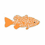 Goldfish Fotoskulptur Ornament<br><div class="desc">Ein Acrylgoldfisch-Ornament</div>