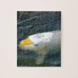 Goldfish im See