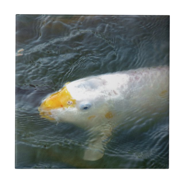 Goldfish im See Fliese (Vorderseite)